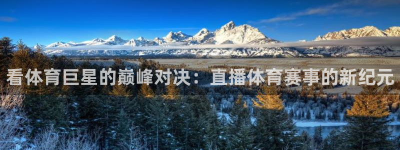 看体育巨星的巅峰对决：直播体育赛事的新纪元