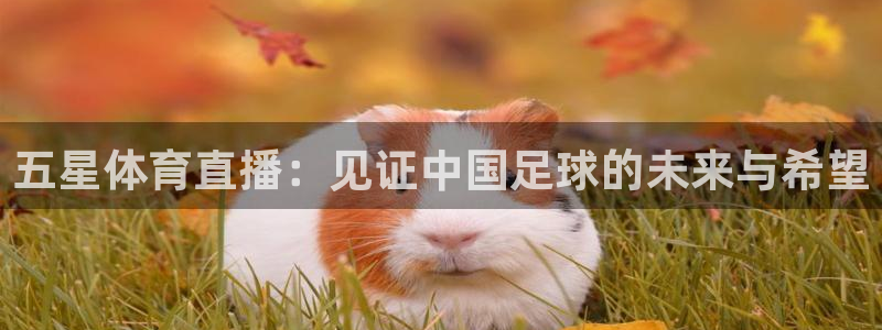 五星体育直播：见证中国足球的未来与希望