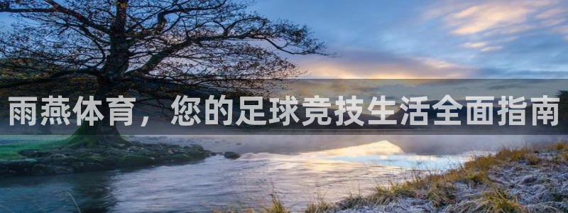 雨燕体育，您的足球竞技生活全面指南