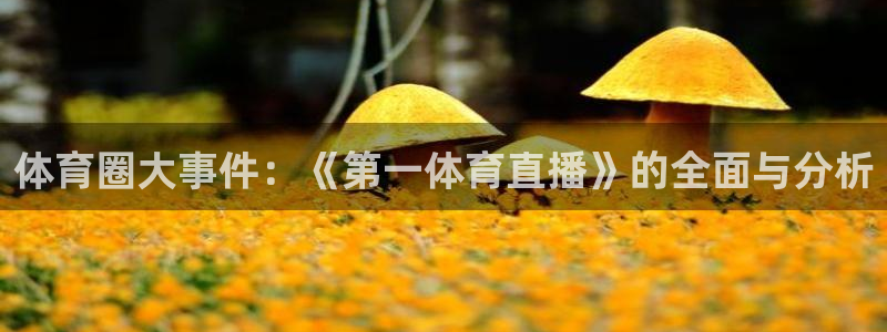 体育圈大事件：《第一体育直播》的全面与分析