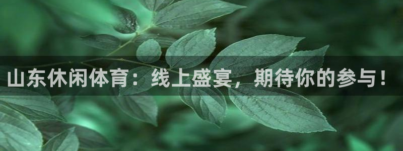 山东休闲体育：线上盛宴，期待你的参与！