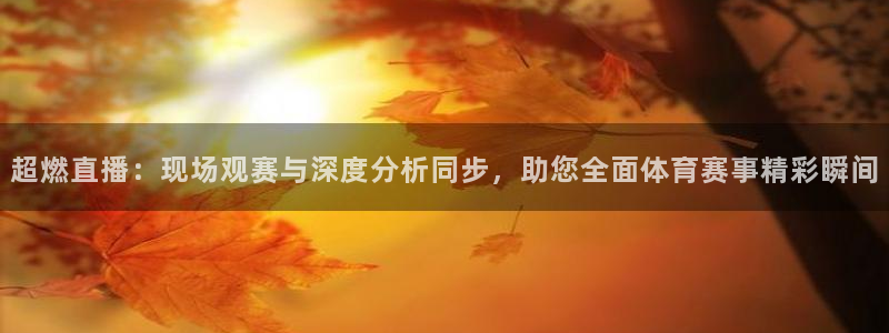 超燃直播：现场观赛与深度分析同步，助您全面体育赛事精彩瞬间