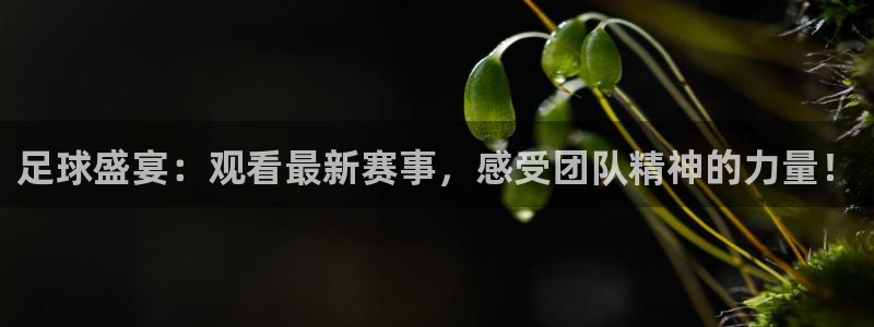 足球盛宴：观看最新赛事，感受团队精神的力量！